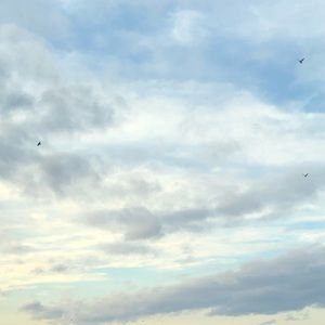 Meet your Posher, Cassie